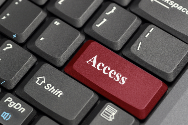 MS Access İleri